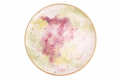  - Porland Cosmos Desen2 Düz Tabak 24Cm