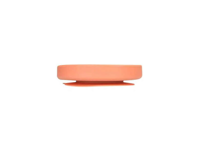 Porland Fancy Dusty Clay Bebek Mama Tabağı 16 Cm - Thumbnail