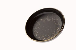  - Porland Night Magic Kase 17Cm