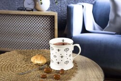  - Ruby Veni Vidi Kupa 380cc